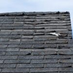 Mastering the Art of Roof Care: Pro Tips for Homeowners